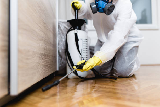 Best Spider Control Near Me  in Johnston City, IL