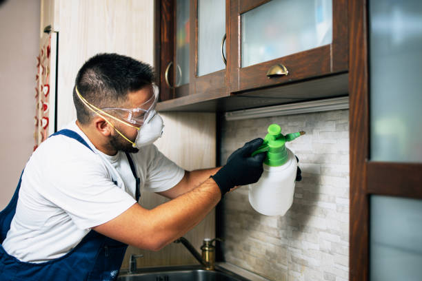 Best Ant Control Services  in Johnston City, IL