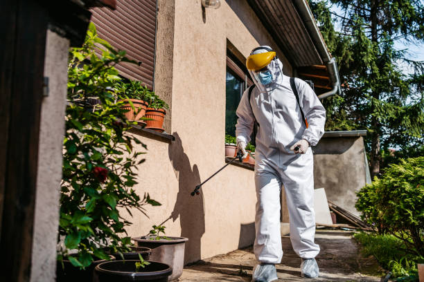 Best Exterminator Services  in Johnston City, IL