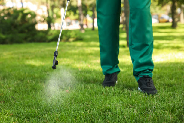 Best Pest Control for Businesses  in Johnston City, IL