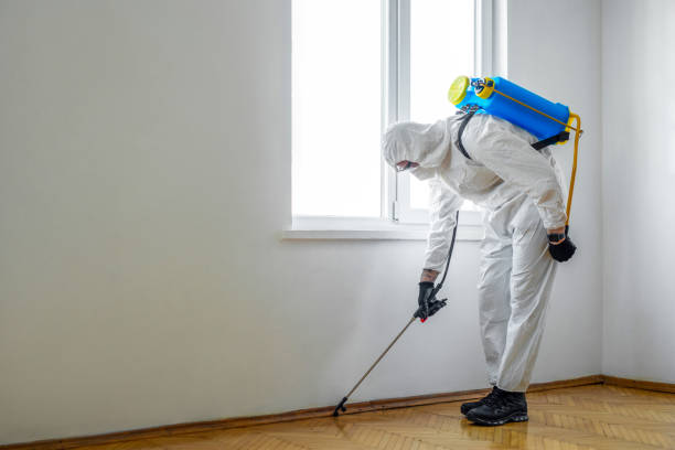 Professional Pest Control in Johnston City, IL