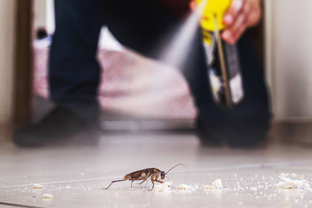 Best Best Pest Control Companies  in Johnston City, IL