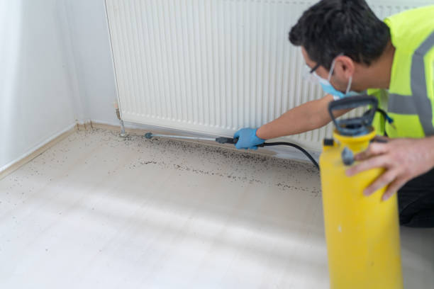 Best Cockroach Control Services  in Johnston City, IL