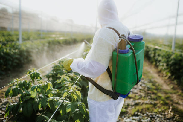 Best Affordable Pest Control Services  in Johnston City, IL